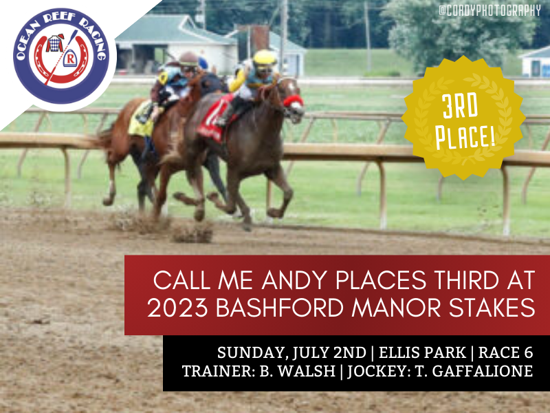 Call Me Andy Places 3rd at Bashford Manor Stakes for Ocean Reef Racing.