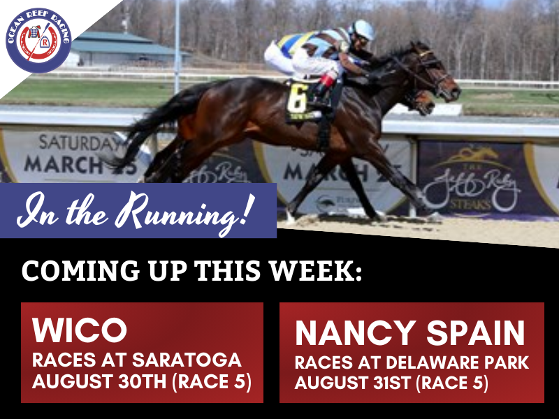 Wico and Nancy Spain of Ocean Reef Racing race this weekend 8/30/23 and 8/31/23.